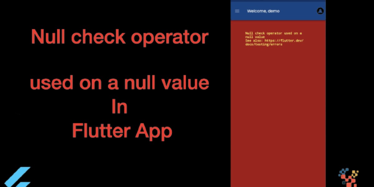 Null check Operator Used On A Null Value ListView flutter