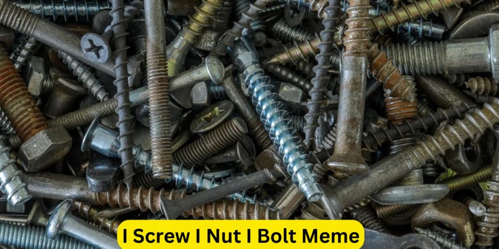 I Screw I Nut I Bolt Meme