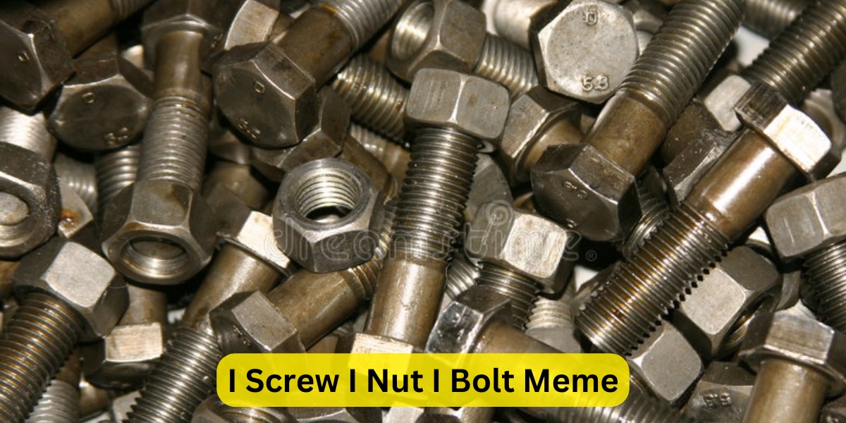 I Screw I Nut I Bolt Meme