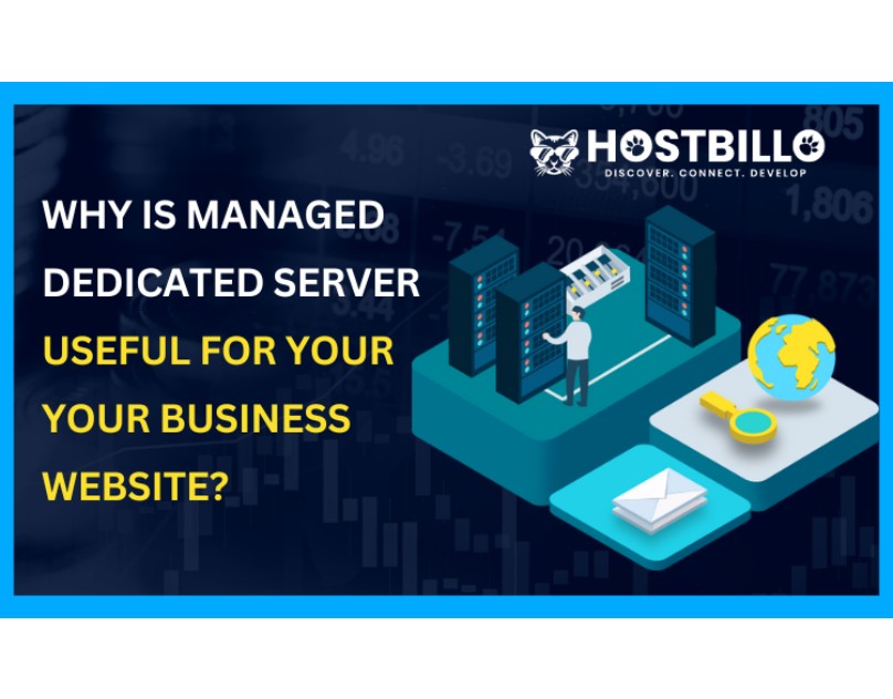 Why Is Managed Dedicated Server Useful For Your Your Business Website